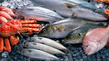 Thủy sản được nhập khẩu nhiều nhất từ Ấn Độ