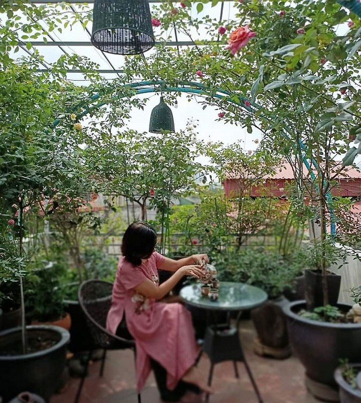 Chị Phương tận hưởng những giờ phút thảnh thơi bên vườn hồng để nhớ về người bố, vườn hồng cũng là nơi trao gửi yêu thương trong gia đình, bè bạn.