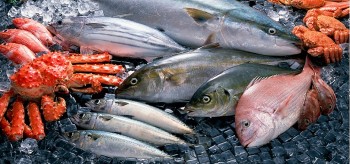 Thủy sản được nhập khẩu nhiều nhất từ Ấn Độ