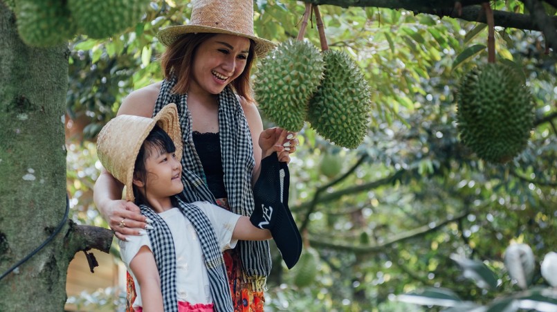 Hàng nghìn héc ta hồ tiêu ở Đồng Nai bị chặt hạ để trồng sầu riêng, bất chấp cảnh báo