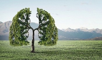 7 cách giúp phổi khoẻ mạnh “không mất phí”