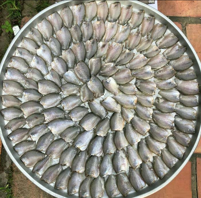 Loài cá có tên lạ trước chỉ “nhà nghèo” mới ăn, giờ thành đặc sản được săn lùng có giá lên đến 320.000/kg Loài cá có tên lạ trước chỉ “nhà nghèo” mới ăn, giờ thành đặc sản được săn lùng có giá lên đến 320.000/kg