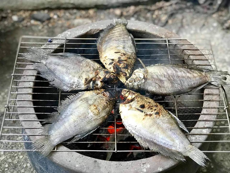 Loài cá có tên lạ trước chỉ “nhà nghèo” mới ăn, giờ thành đặc sản được săn lùng có giá lên đến 320.000/kg Loài cá có tên lạ trước chỉ “nhà nghèo” mới ăn, giờ thành đặc sản được săn lùng có giá lên đến 320.000/kg