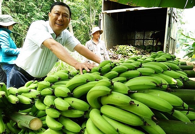 , Đồng Nai là tỉnh đứng đầu cả nước về số lượng mã số vùng trồng được Cục Bảo vệ thực vật cấp mã số 