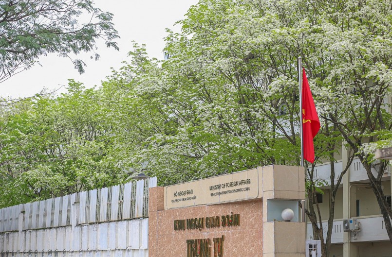 Hoa sưa bắt đầu nở trắng những góc phố, con ngõ của Hà Nội. Hoa sưa bắt đầu nở trắng những góc phố, con ngõ của Hà Nội.