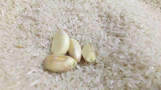 Gạo bảo quản hay bị mọt đen, bỏ thứ này vào để cả năm không mọt, cơm nấu dẻo thơm
