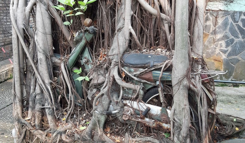 Chiếc xe máy cổ vẫn còn nguyên màu sơn và các bộ phận chính.