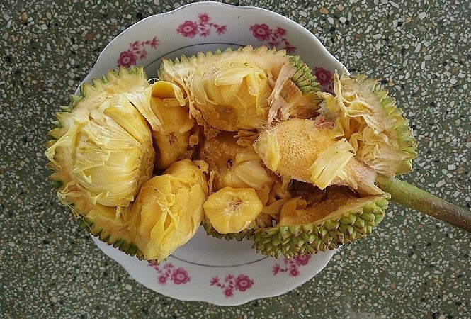 Múi mít Tố Tây chín có màu vàng ươm óng ánh, khô ráo thơm ngon.