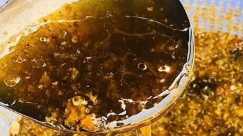 Thứ mật đen sì kèm vị đắng có gì đặc biệt mà bán hàng triệu đồng 1 lít, có tiền cũng khó mua