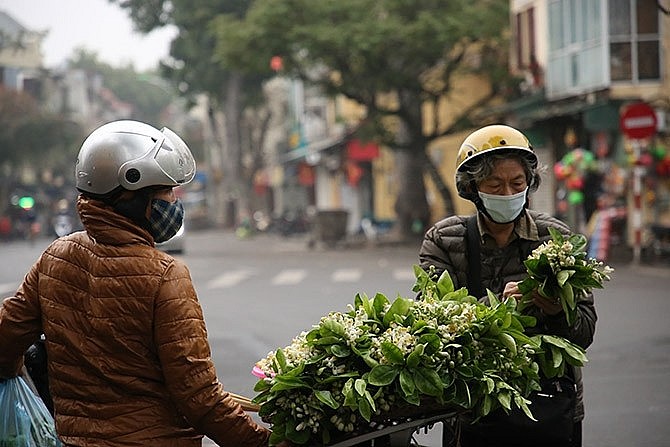Hoa bưởi đầu mùa đắt khách Hoa bưởi đầu mùa đắt khách