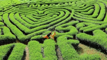 Phát huy các giá trị văn hóa, đưa du lịch Mộc Châu ngày càng phát triển