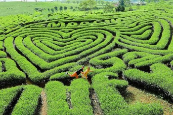 Phát huy các giá trị văn hóa, đưa du lịch Mộc Châu ngày càng phát triển