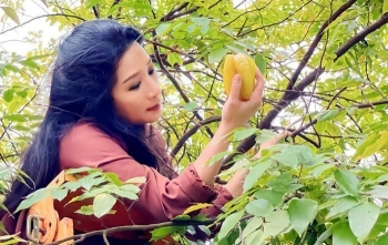 Khu vườn hoa thơm trái ngọt của nghệ sỹ Thanh Hiền nơi an yên sau ngày giông bão