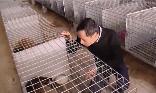 Mô hình nuôi anh Nguyễn Văn Chung 