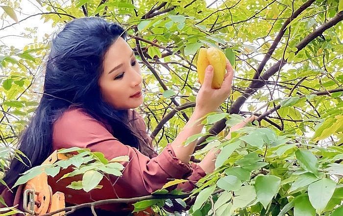 Khu vườn hoa trái của nghệ sỹ Thanh Thanh Hiền với những sắc màu bình an. Khu vườn hoa trái của nghệ sỹ Thanh Thanh Hiền với những sắc màu bình an.