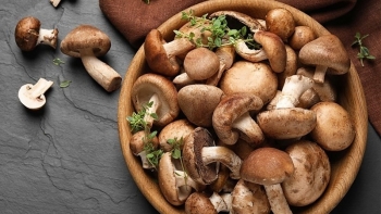 Những loại nấm ngon không kém thịt, bổ như nhân sâm