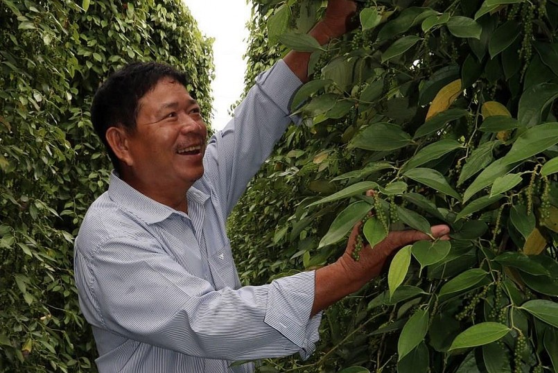 Giá nông sản hôm nay (27/2), giá tiêu biến động do những thông tin về sản lượng trong vụ thu hoạch mới. Giá nông sản hôm nay (27/2), giá tiêu biến động do những thông tin về sản lượng trong vụ thu hoạch mới.