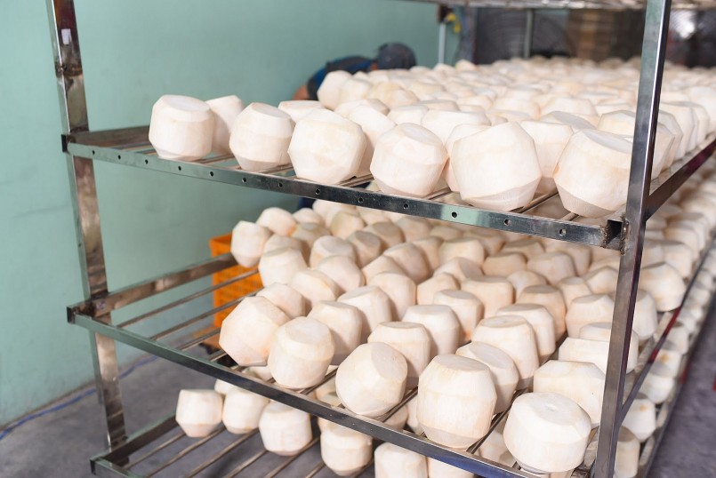 Xuất khẩu dừa hướng mốc 1 tỷ USD