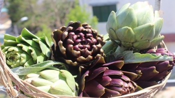 Loại hoa vừa đẹp vừa bổ, đừng chỉ sắc nước, nấu canh giò heo mới ngon hết xảy