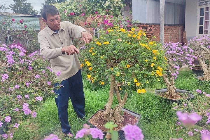 Ông Cường phải kỳ công mua gốc (phôi) ở các tỉnh miền Bắc về tạo dáng.