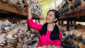 Yêu loài cây không cành lá tưởng cho vui, 9X Cà Mau thu nhập 70 triệu đồng/tháng