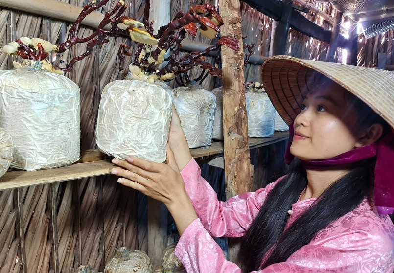 Từ chỗ chỉ trồng thử, giờ Mai Ril  dành trọn tình yêu cho nấm.