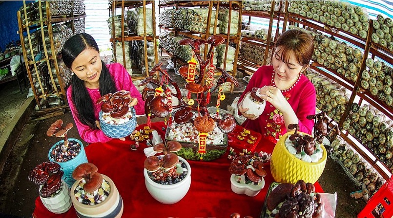 Mai Ril tham gia các trang mạng xã hội với nickname “Cô Nấm” để quảng bá, giới thiệu sản phẩm.