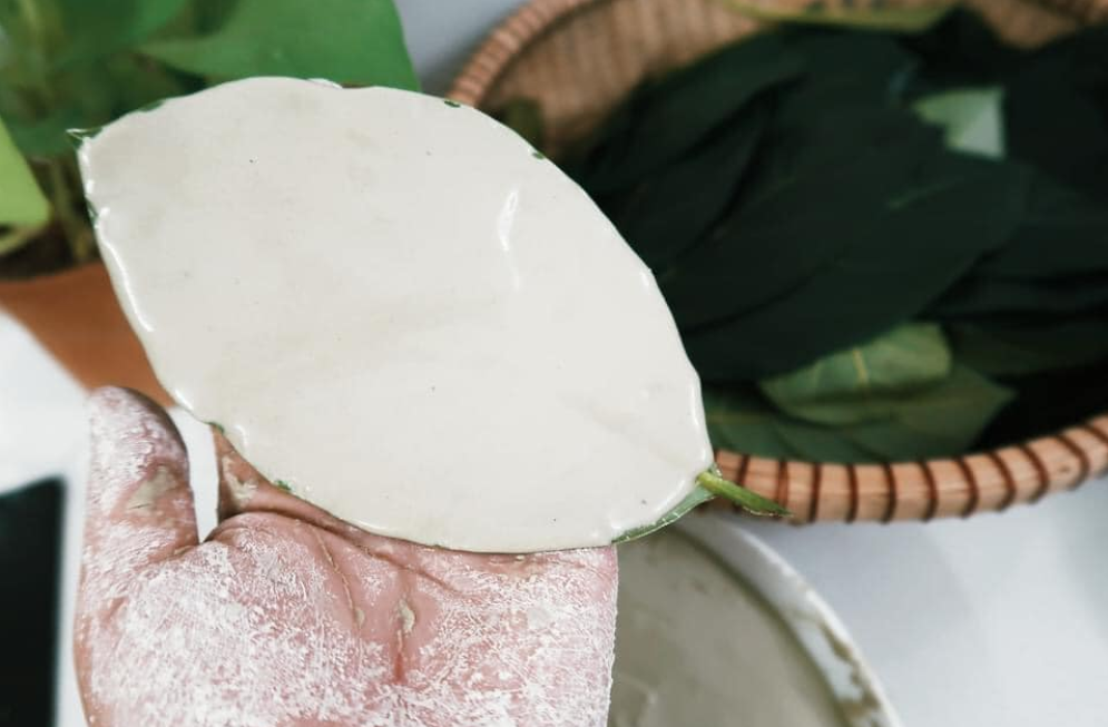 Tùy từng loại lá mà cách Tùy từng loại lá mà cách