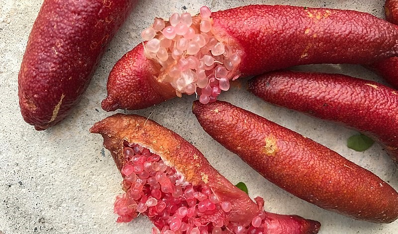 Chanh ngón tay có vị chua gắt, những hạt chanh khi cắn vỡ ra mang hương vị như trứng cá. Chanh ngón tay có vị chua gắt, những hạt chanh khi cắn vỡ ra mang hương vị như trứng cá.