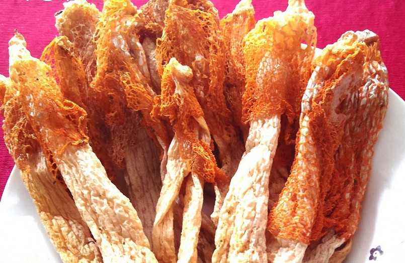  Ngoài nấm nữ hoàng khô, ông Phương tiếp tục nghiên cứu để tạo ra các sản phẩm dạng tinh chất để cung ứng ra thị trường.