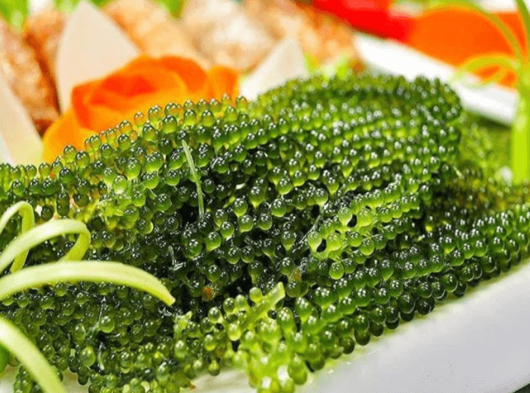 Thứ rau tanh ngòm người khen kẻ chê lại giàu canxi gấp 7 lần sữa, ăn vào bổ máu, giảm cholesterol