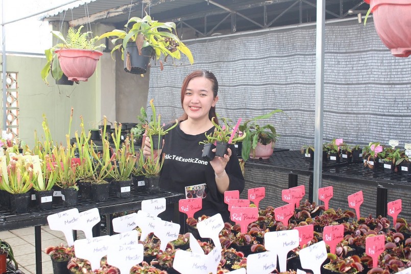 Kiếm bộn tiền với loài cây