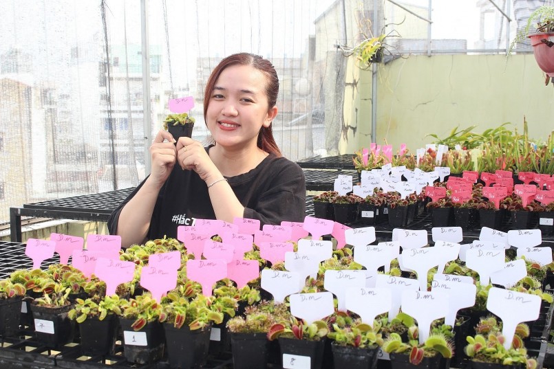 Kiếm bộn tiền với loài cây