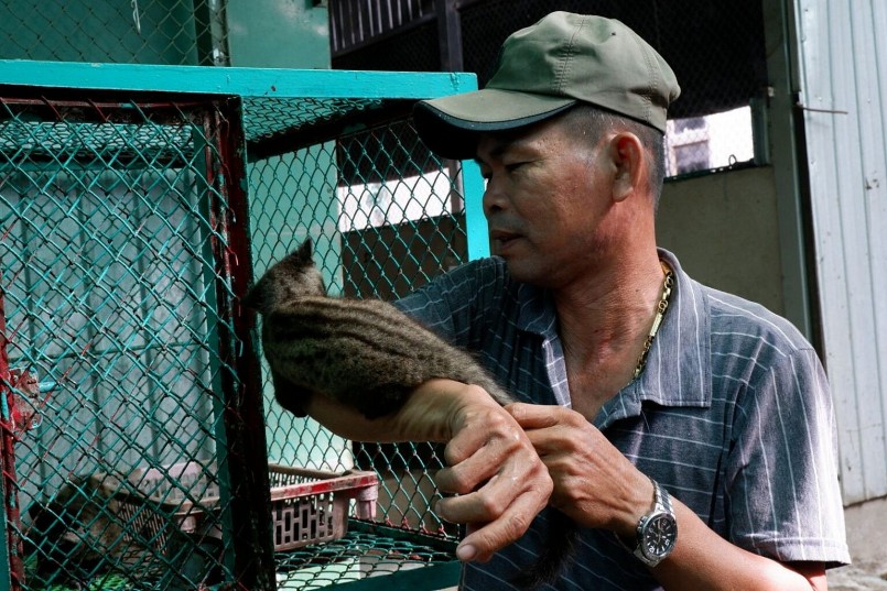 Ông Nguyễn Văn Của thành công với mô hình nuôi chồn hương sinh sản