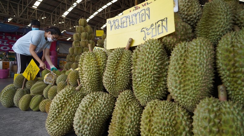 Thái Lan chủ động nâng chuẩn xuất khẩu sầu riêng để khẳng định vị thế tại thị trường Trung Quốc.