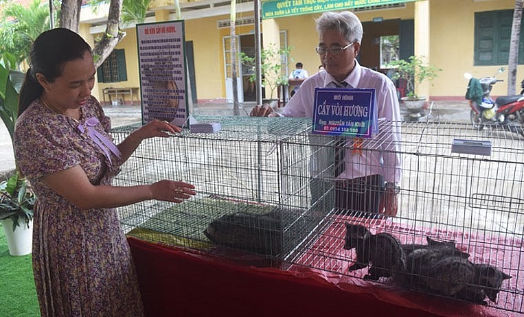 Mô hình nuôi chồn hương của anh Khởi được giới thiệu trong dịp xã An Hiệp, huyện Tuy An (tỉnh Phú Yên) đạt xã nông thôn mới.