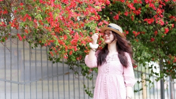 Giàn hoa giấy tuôn đỏ rực cổng trường đẹp cỡ nào mà giới trẻ nô nức "check in"?