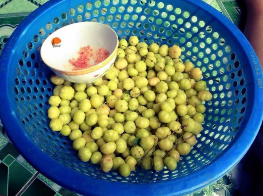 Quả dại miền Tây chua loét nhưng trộn muối ớt ngon xuất sắc, nhìn đã chảy nước miếng Quả dại miền Tây chua loét nhưng trộn muối ớt ngon xuất sắc, nhìn đã chảy nước miếng