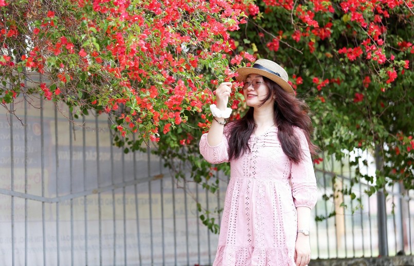 Những suối hoa giấy đỏ rực tuôn chảy rực rỡ tạo sức hấp dẫn kỳ lạ. 