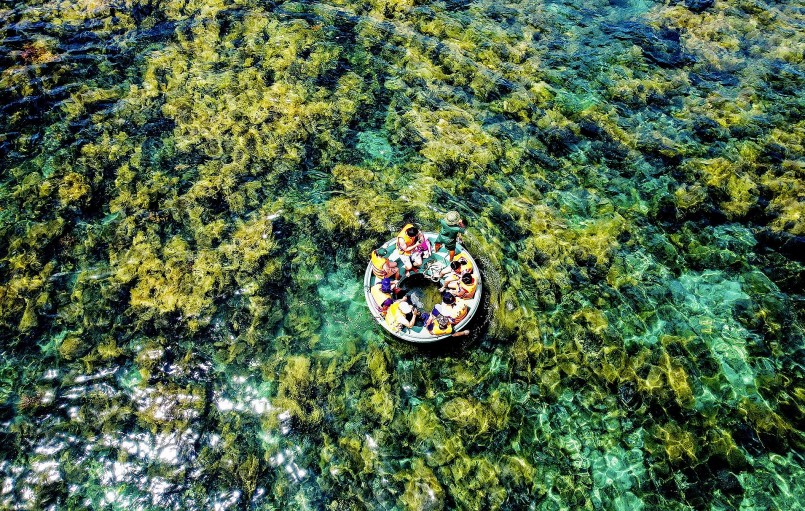 Mùa rong mơ tạo nên những khoảnh khắc thiên nhiên tuyệt đẹp.