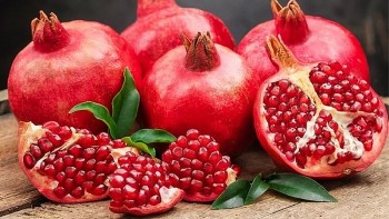 Những loại trái cây làm chậm lão hóa giúp bạn trẻ mãi không già