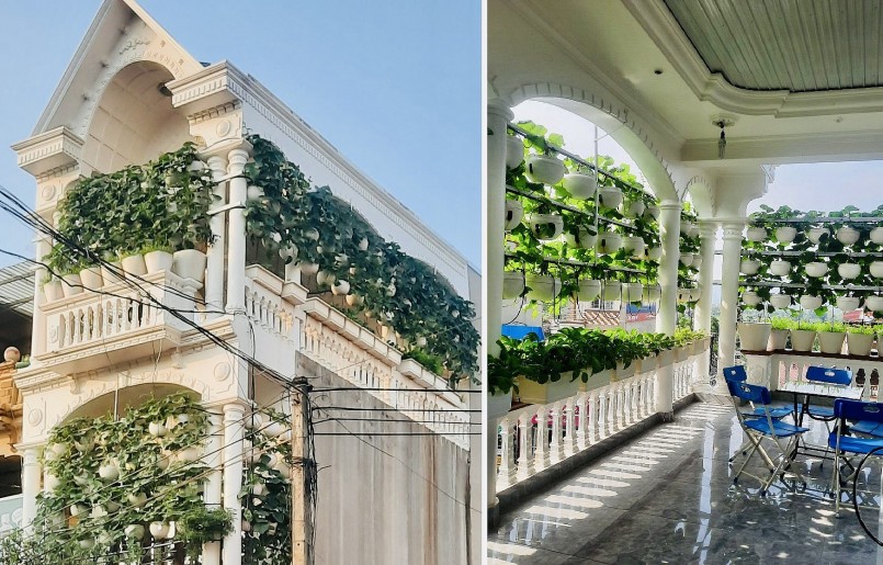 Vườn treo được bố trí quanh các ô thoáng trên sân thượng vừa mát lại có nguồn rau quả quanh năm.