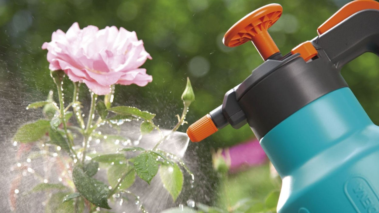 Những điều cấm kỵ khi trồng hoa mà người lâu năm nào cũng biết, nếu mắc phải coi như bỏ hoa đi