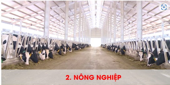 Khảng định quyết tâm, tầm nhìn chiến lược, mở ra thời kỳ phát triển mạnh mẽ hơn cho tỉnh Thanh Hóa