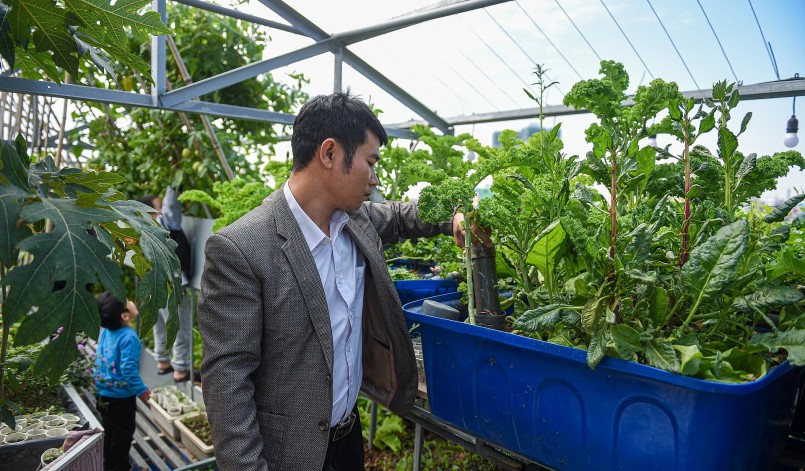 Khu vườn sân thượng có hệ thống tự động tưới nước, tự động làm phân hữu cơ.