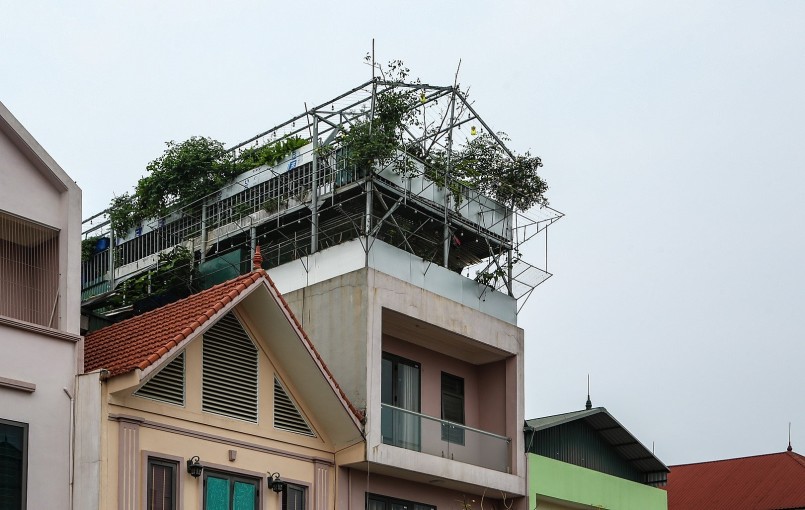 Khu vườn rau trên sân thượng được thiết kế 2 tầng.