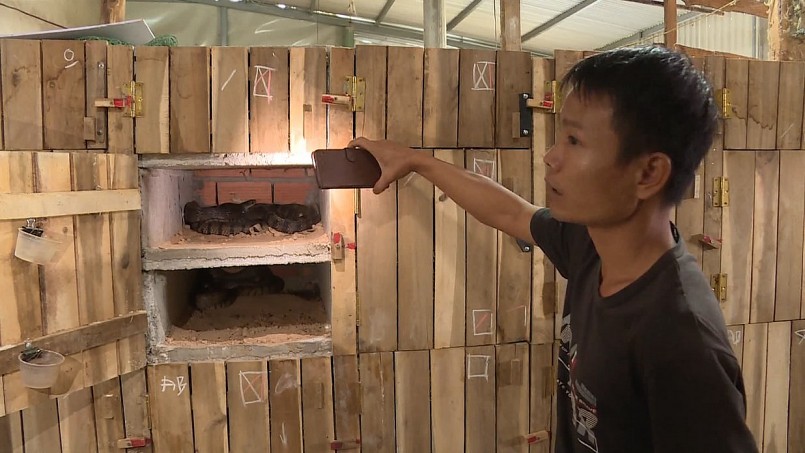 Mô hình nuôi rắn của gia đình anh Thư Mô hình nuôi rắn của gia đình anh Thư