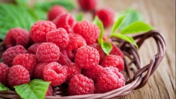 Loại trái cây căng mọng đẹp mắt lại có công dụng chữa bệnh không ngờ