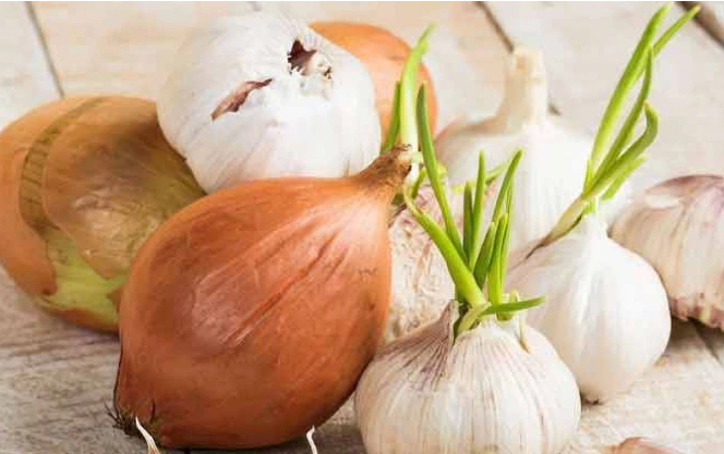 Hành, tỏi mọc mầm không gây độc tố Hành, tỏi mọc mầm không gây độc tố
