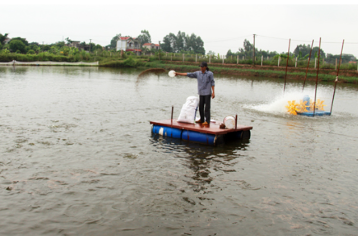 Hưng Yên nâng cao giá trị sản phẩm thực phẩm ngành nông nghiệp 2023